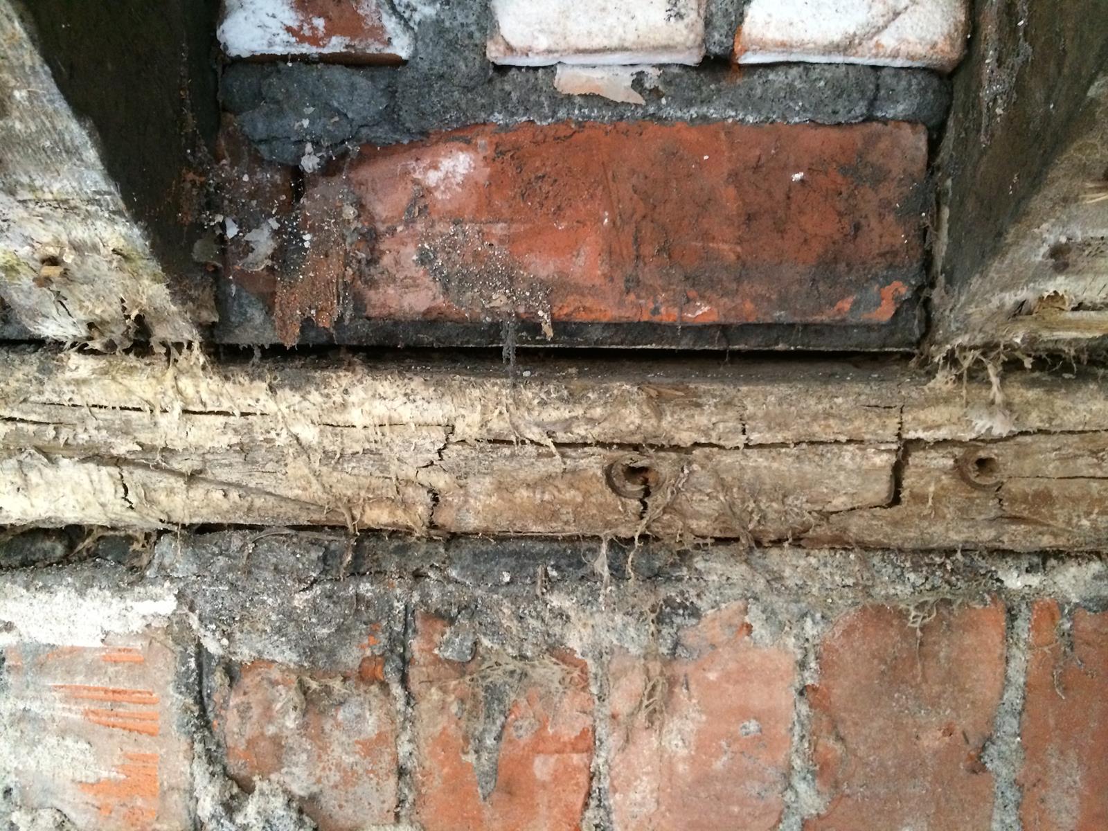 Dry Rot in a floor joist and wall plate.