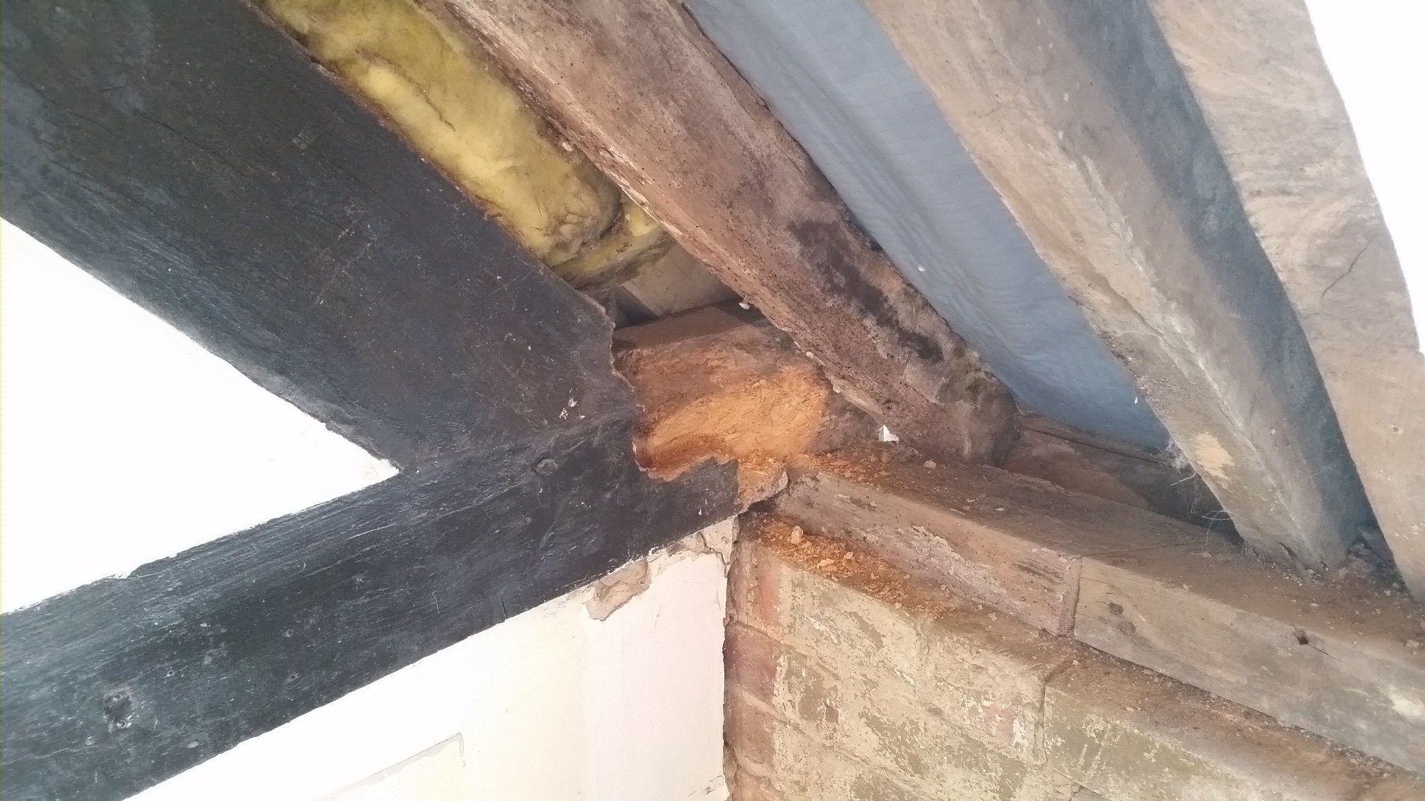 Decay in a Tie Beam of a roof truss