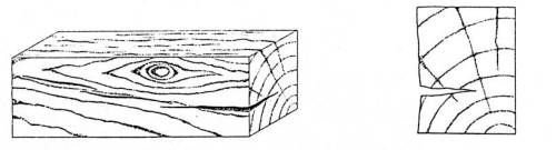 Drawing of a crack in a piece of timber